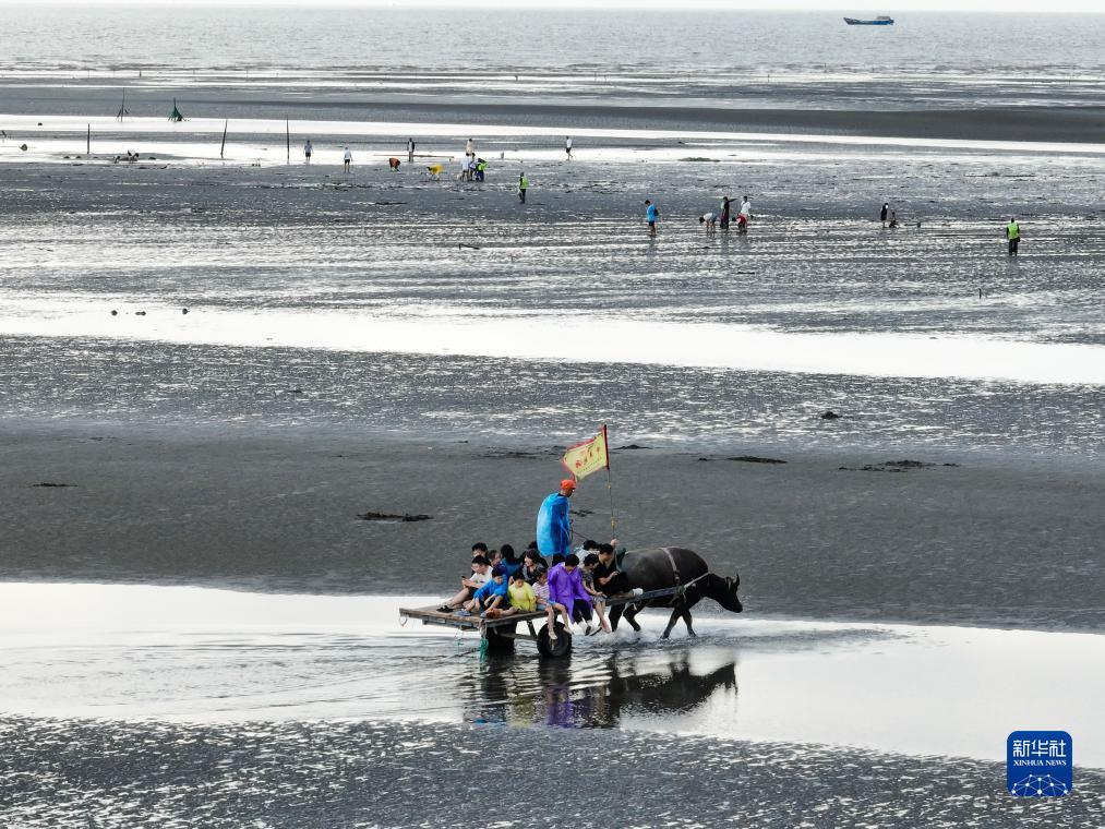 搜狗浏览器